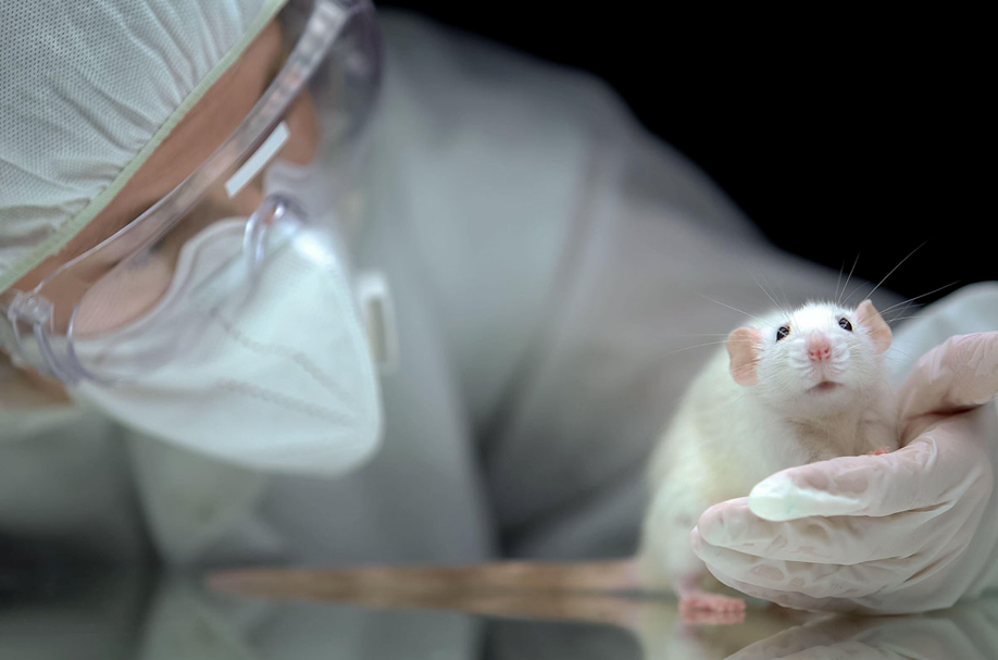 سازمان FDA دیگر به تست‌های حیوانی قبل از آزمایشات دارویی انسان نیاز ندارد